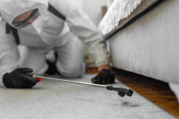 Professional Pest Control technician working in Iron County County, UT